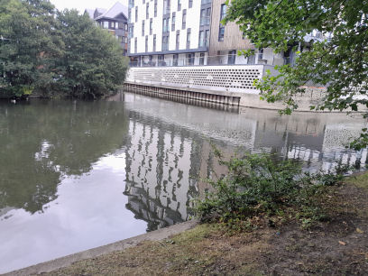 River Kennet in Reading